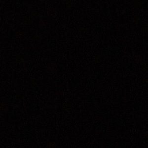 Meet your Posher, Rodrigo